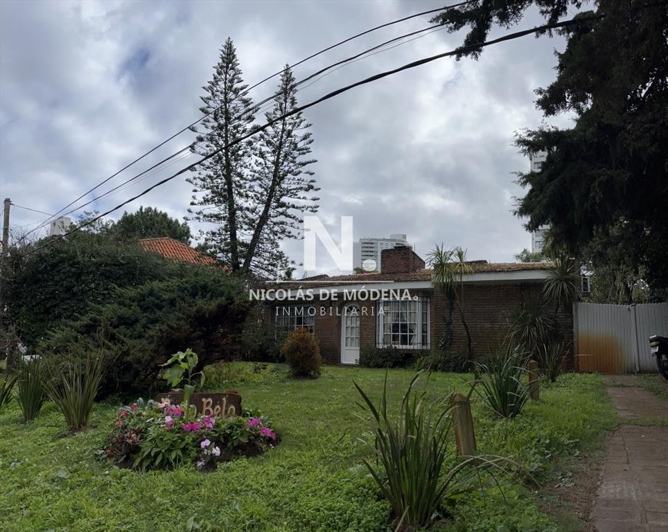 Casa en Punta del Este, Aidy Grill