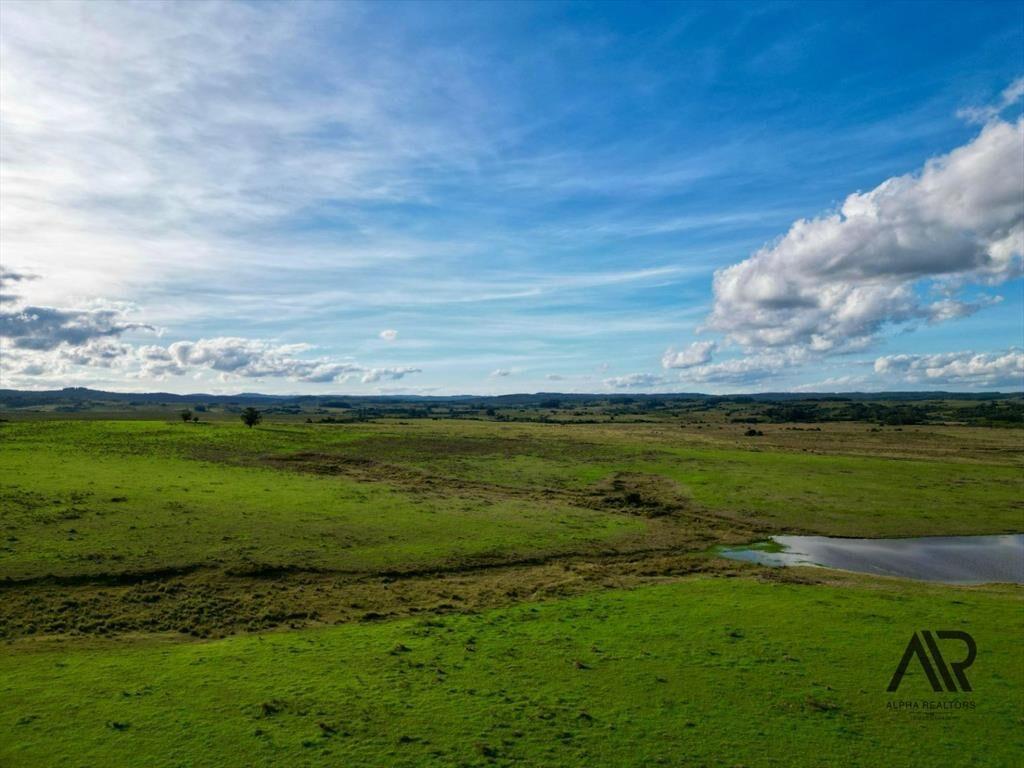 Chacras de 3ha/60 ha en Garzón, con caminería y luz en l...