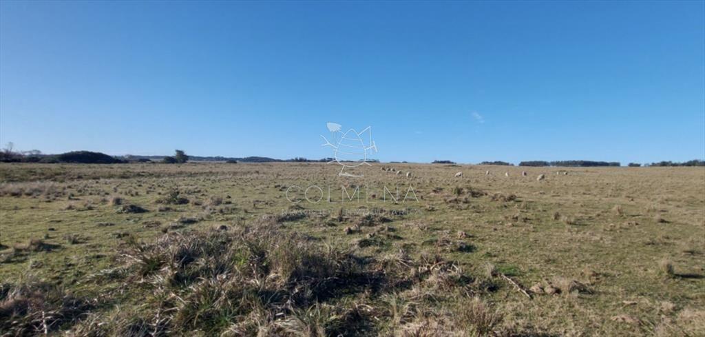 Campo en Las Garzas frente ruta y cerca del mar.