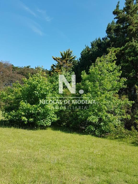 En venta chacra de 6hectareas en Jose Ignacio.