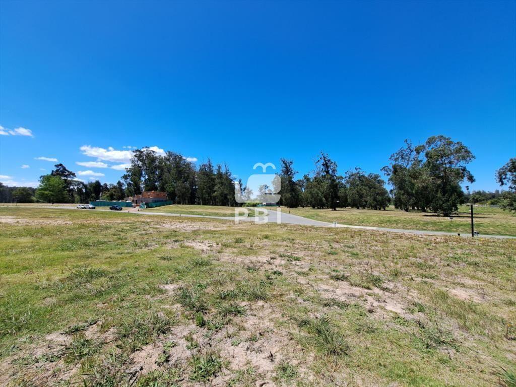 Venta de lotes en el barrio privado más de Punta