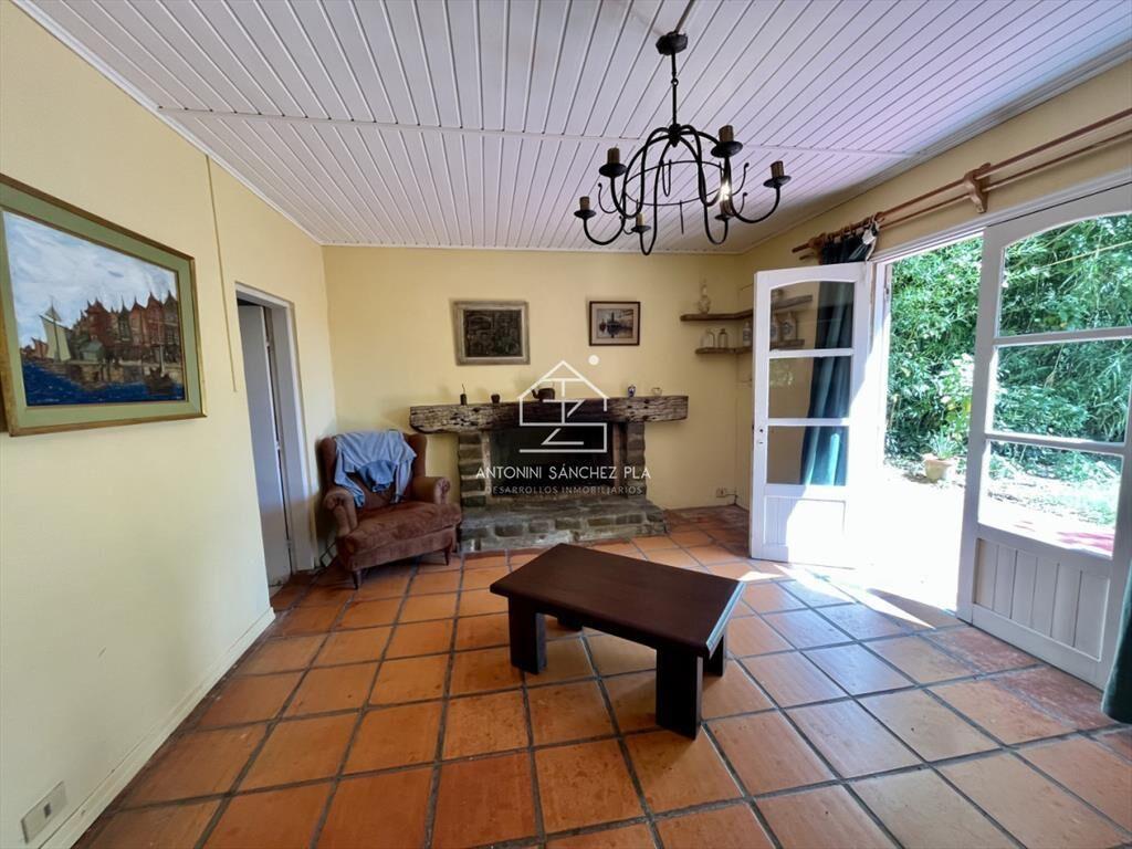 VENTA CHACRA DE 3 HECTAREAS PUNTA BALLENA