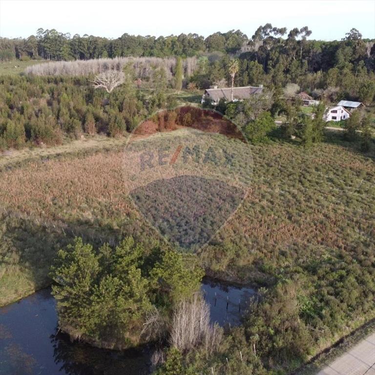 Venta de Campo 3 Ha. en Ruta 8 Km.45 Empalme Olmos