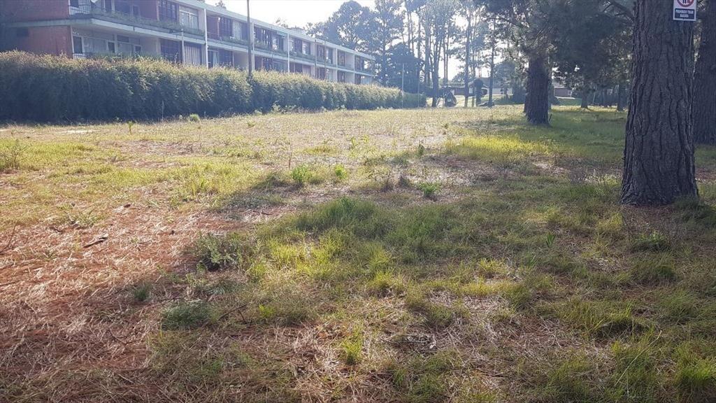 Terreno en Cantegril
