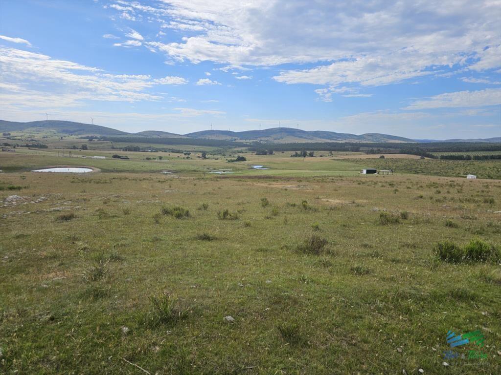 En venta chacra 3 hectareas, proxima ruta 39, a