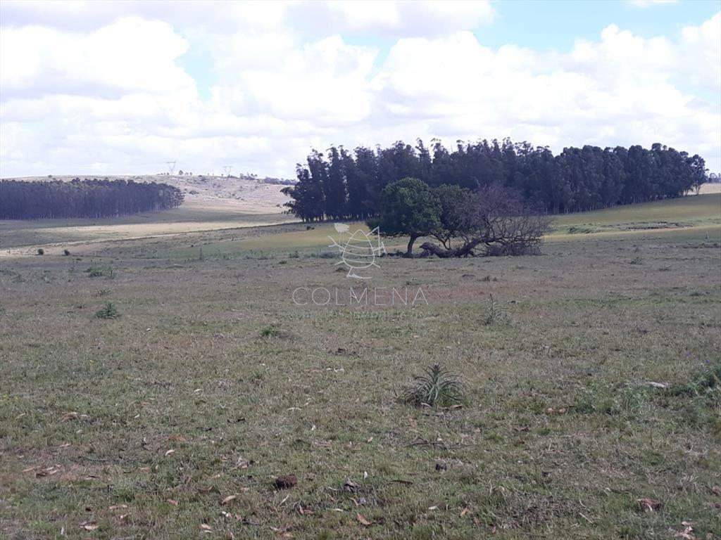 Campo 18 has en las Cañas - Consulte!!!!!!