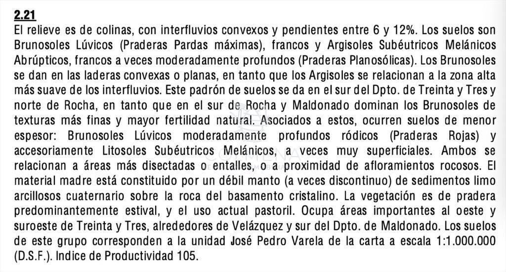 Campo en Rocha hacia ruta 15