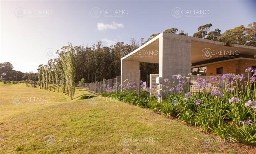 Venta lote apto edificio. Los Caracoles, Punta