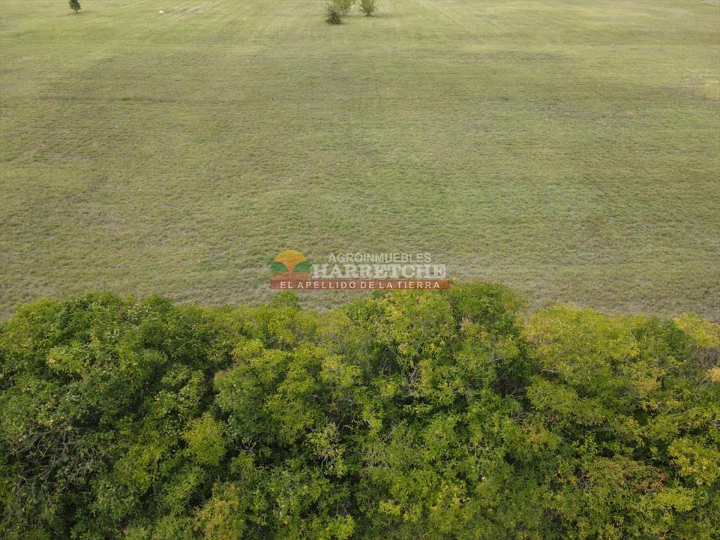 Terreno en Progreso, 360 m2 en Jardín de los (4)