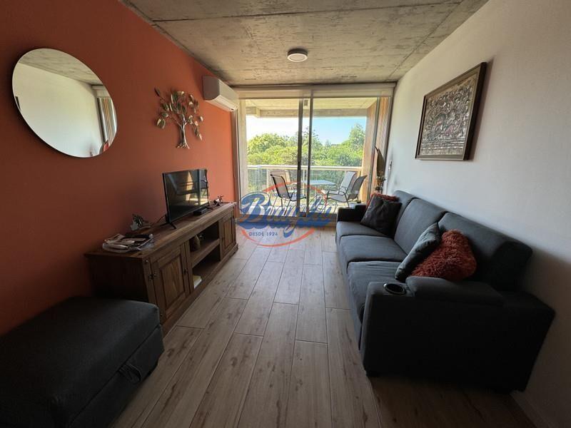 Apartamento Venta en Punta del Este