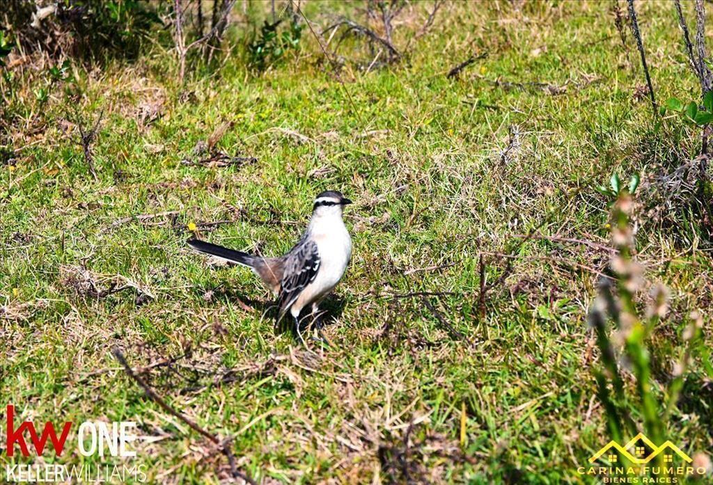 Campo en Venta Villa Serrana ideal Turismo OPORTUNIDAD