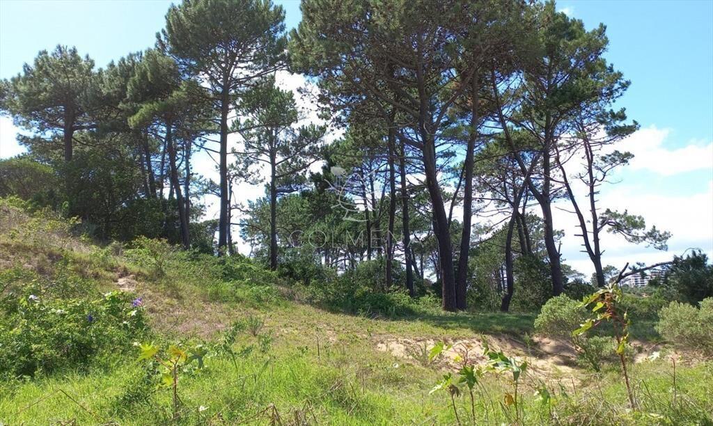VENTA 1001 m2 EN RINCÓN DEL INDIO -PUNTA DEL
