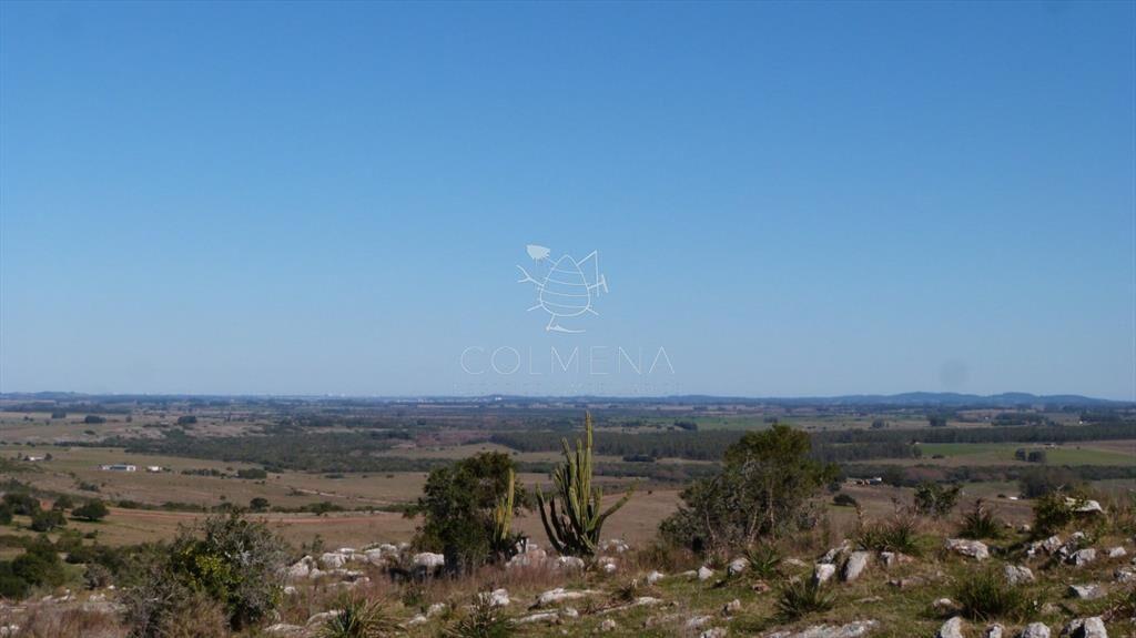 Campo cerca ruta 39 en las Cañas