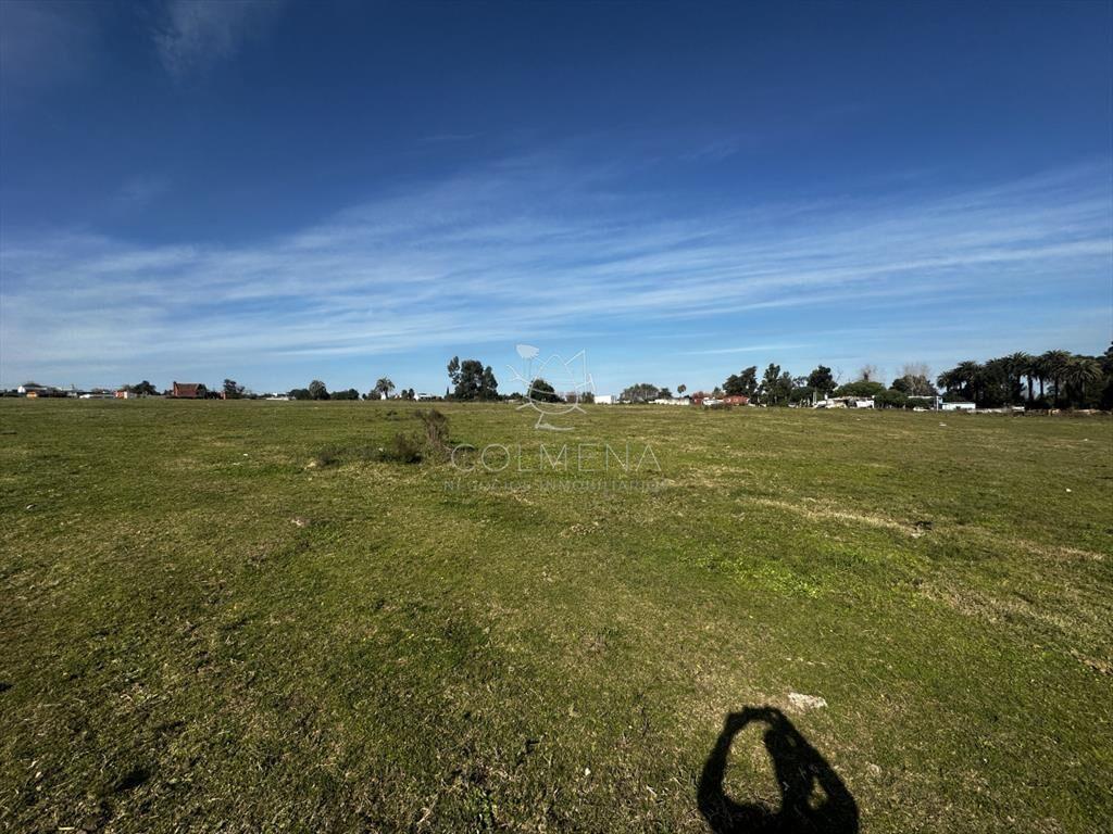 Venta lote para fraccionamiento, San Carlos