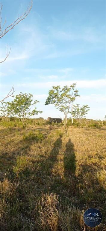 Campo en venta de 9503m2 ubicado en Santa Monica