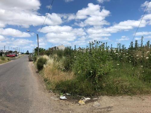 AL502/2 Venta Gran Terreno En Sayago Norte