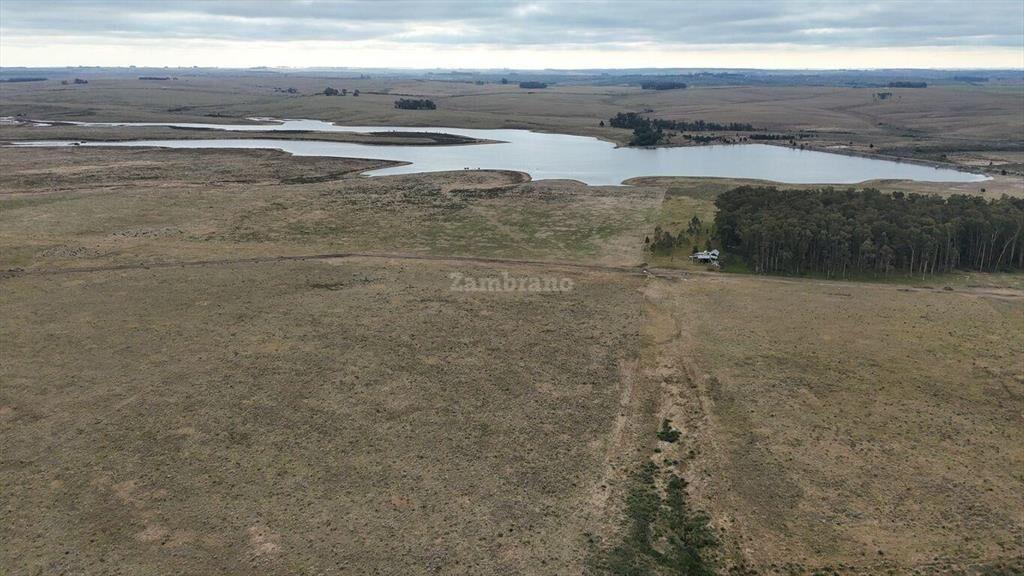 Estancia Ganadera Agrícola 1700 ha en Treinta y Tres