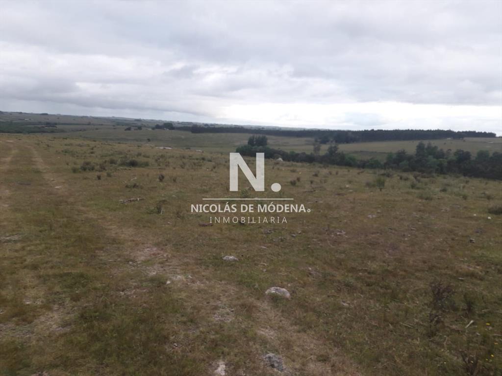 Campo de 47 has en Paraje los Caracoles - !!!!!