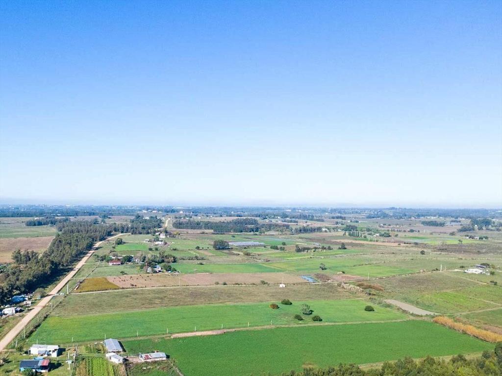 VENTA DE CAMPO 4 HECTAREAS CON TAJAMAR RUTA 75