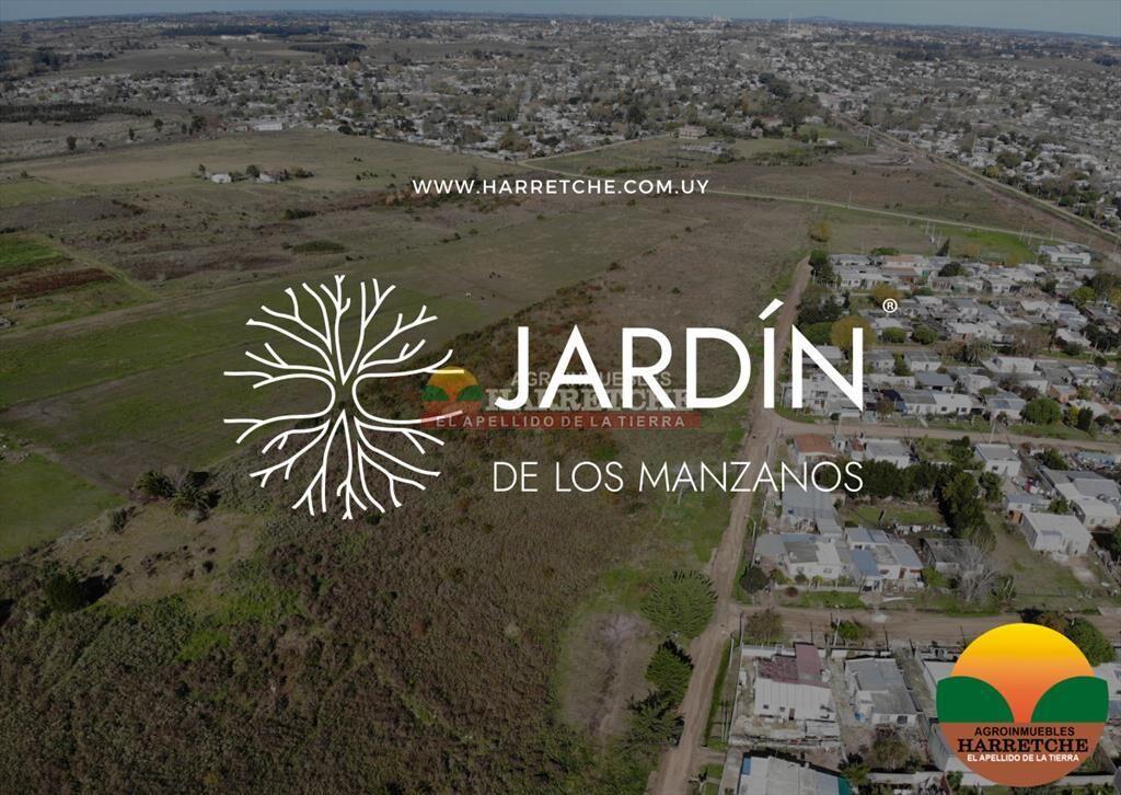 Jardín de Los Manzanos   - Terrenos en Progreso