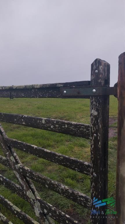 Campo de casi 9 hectáreas en venta