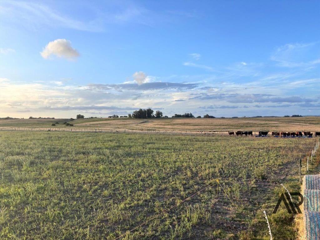 Chacra en venta de 21.5ha ubicado en San Carlos