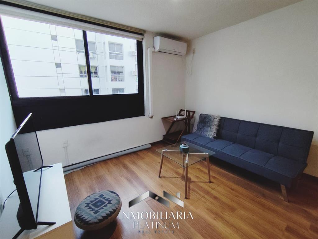 Alquilo apartamento completamente amoblado, Cordón Sur
