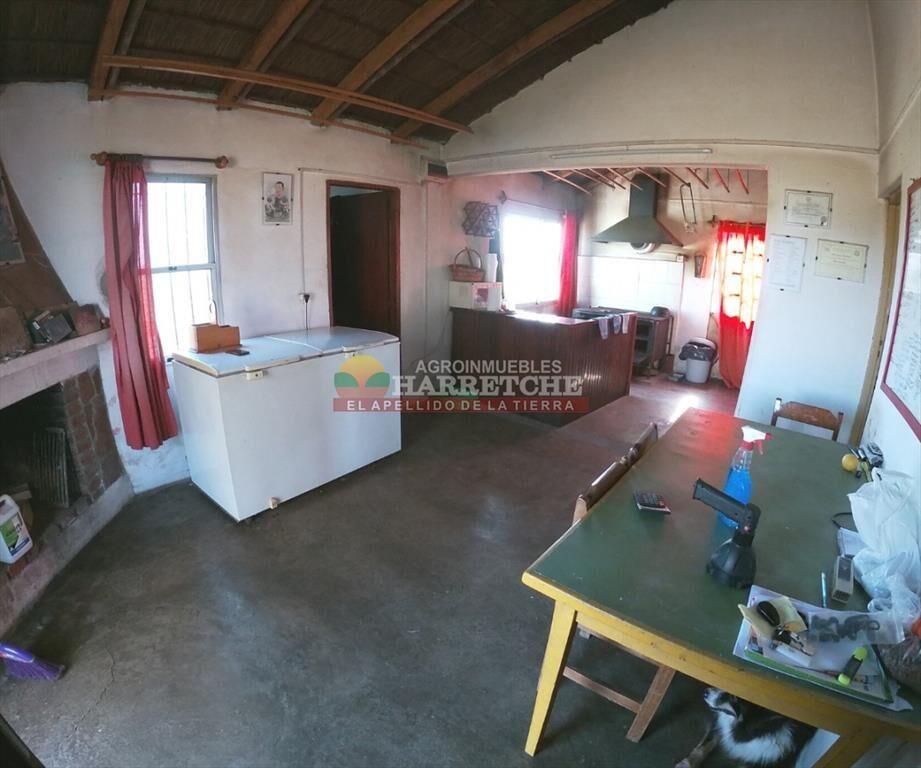 Campo en venta 18 has Canelones, con todas las