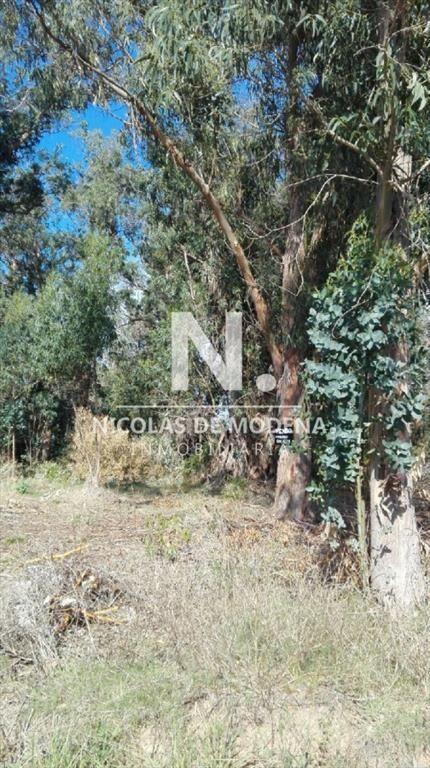 VENTA TERRENO EN SANTA MÓNICA