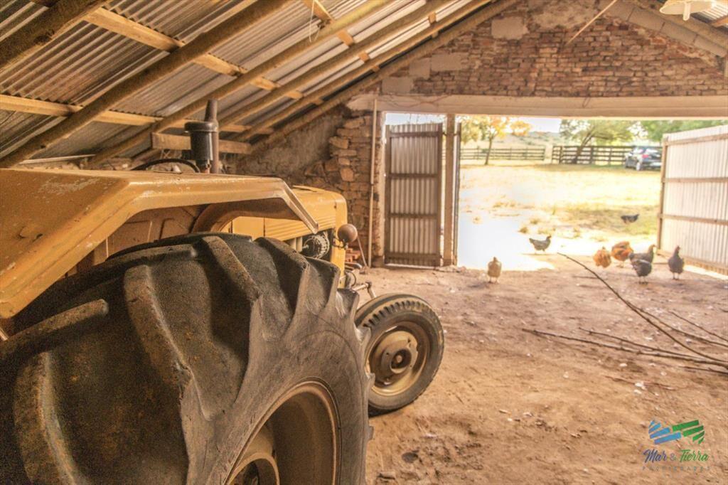Estancia de 882 Has, campo mixto Ganadero - muy