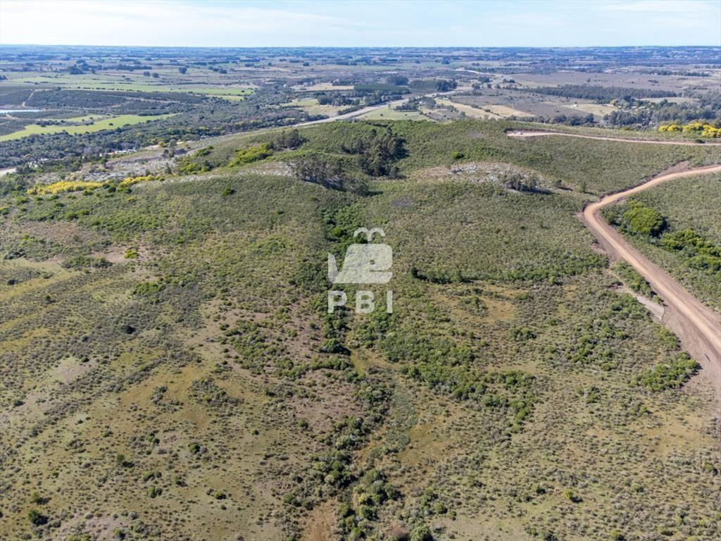 Chacra de 15,7 Has en Ruta 9, Abra de Perdomo - :