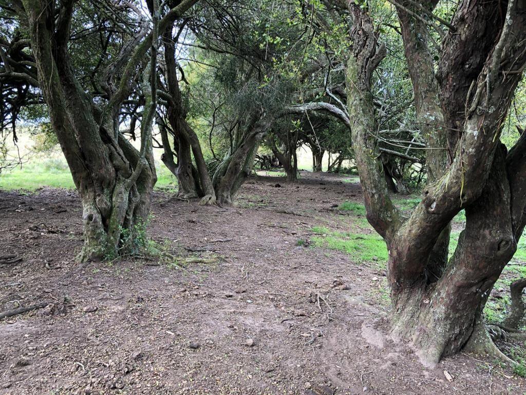 CHACRA EN VENTA