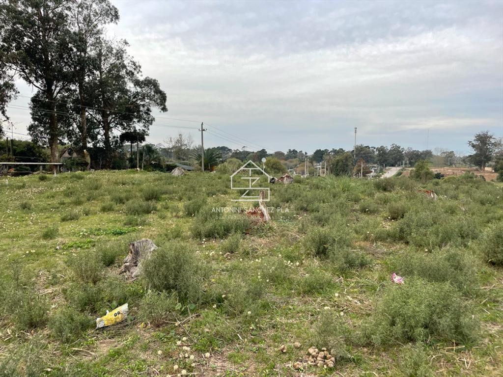 Venta terreno Punta del este