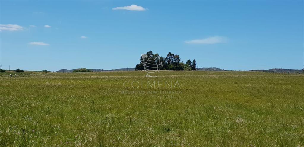 Chacra en las cañas con casa y costa de arroyo.