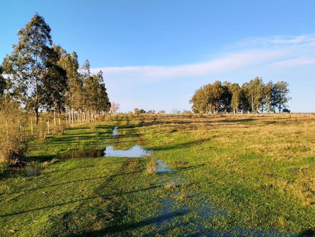 VENTA DE CHACRA 8 HAS. EN PAYSANDU