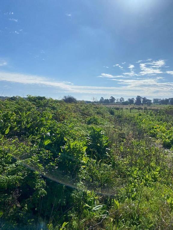 Venta Terreno fértil de 3 hectáreas con casa a reciclar en