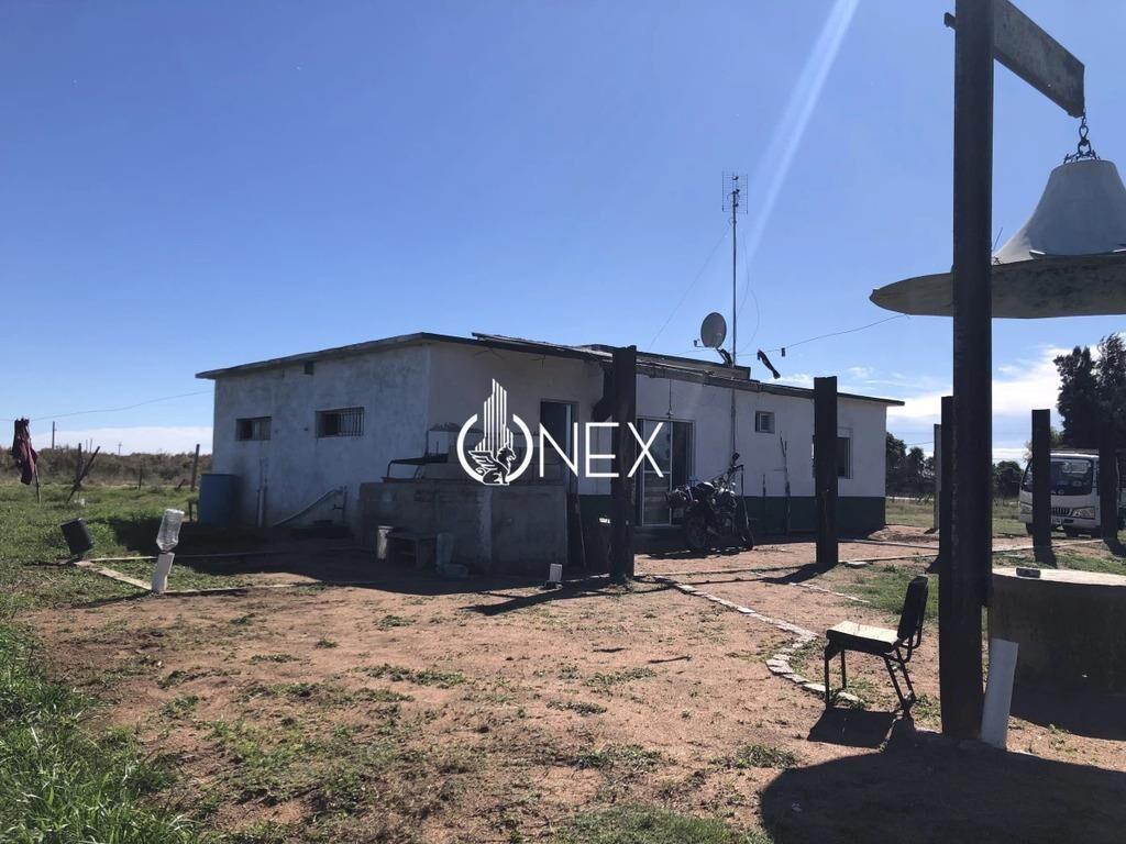 Se vende Chacra de 4ha más casa, sobre ruta