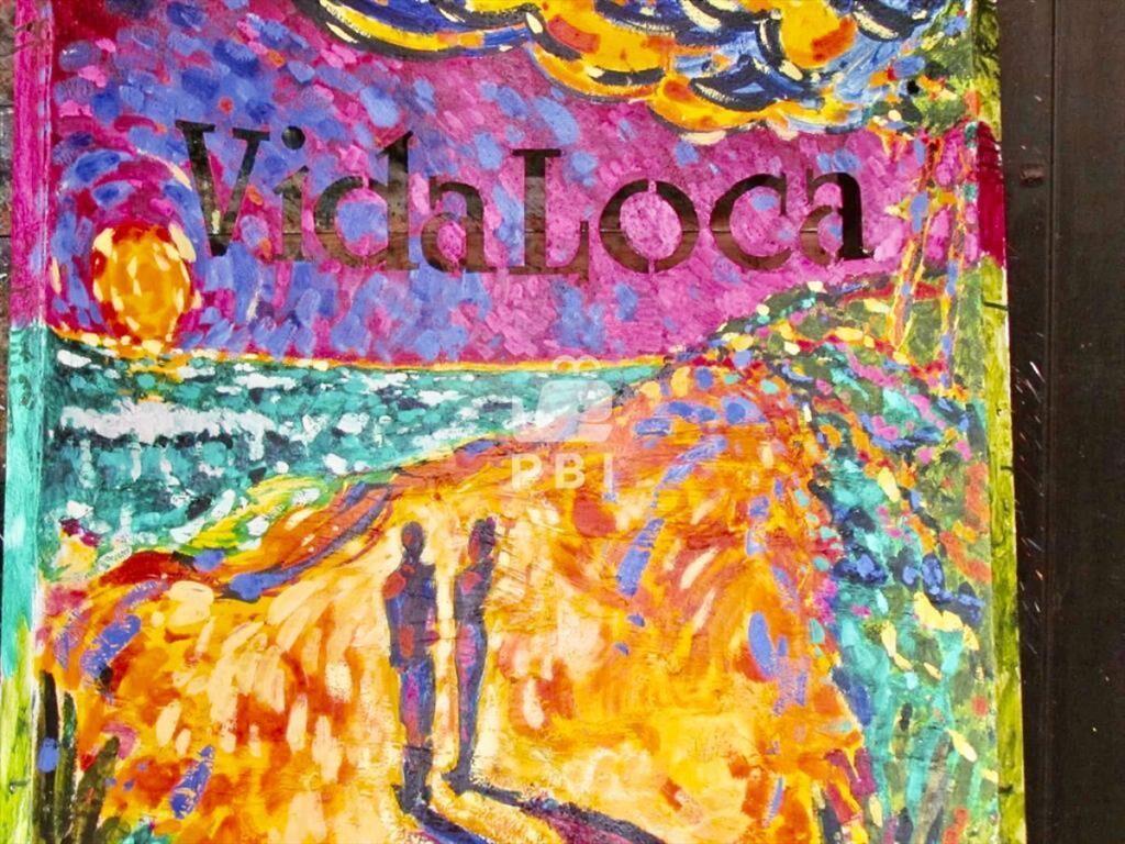 Chacra Vida Loca - Ref : PBI13380