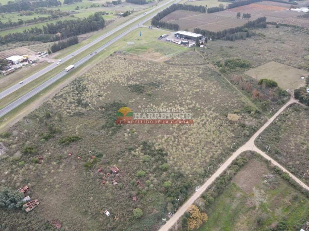 Terreno en venta 37.988 m2 suburbanos sobre ruta 5, logisti