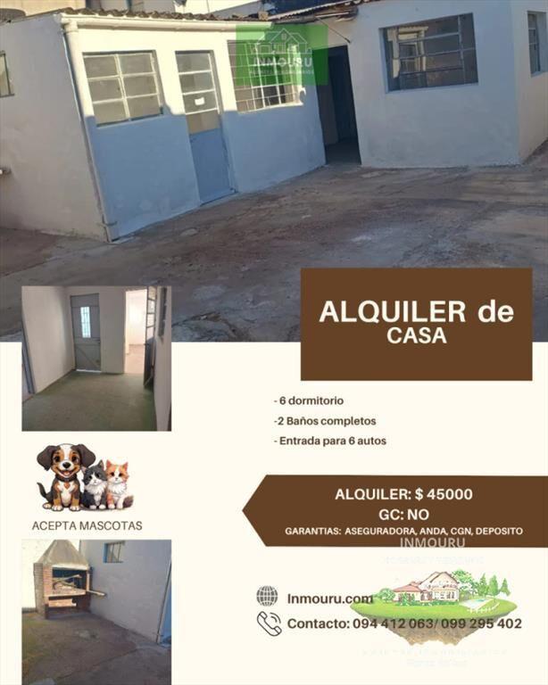 ALQUILER de apartamento de 6 dormitorios en COLON
