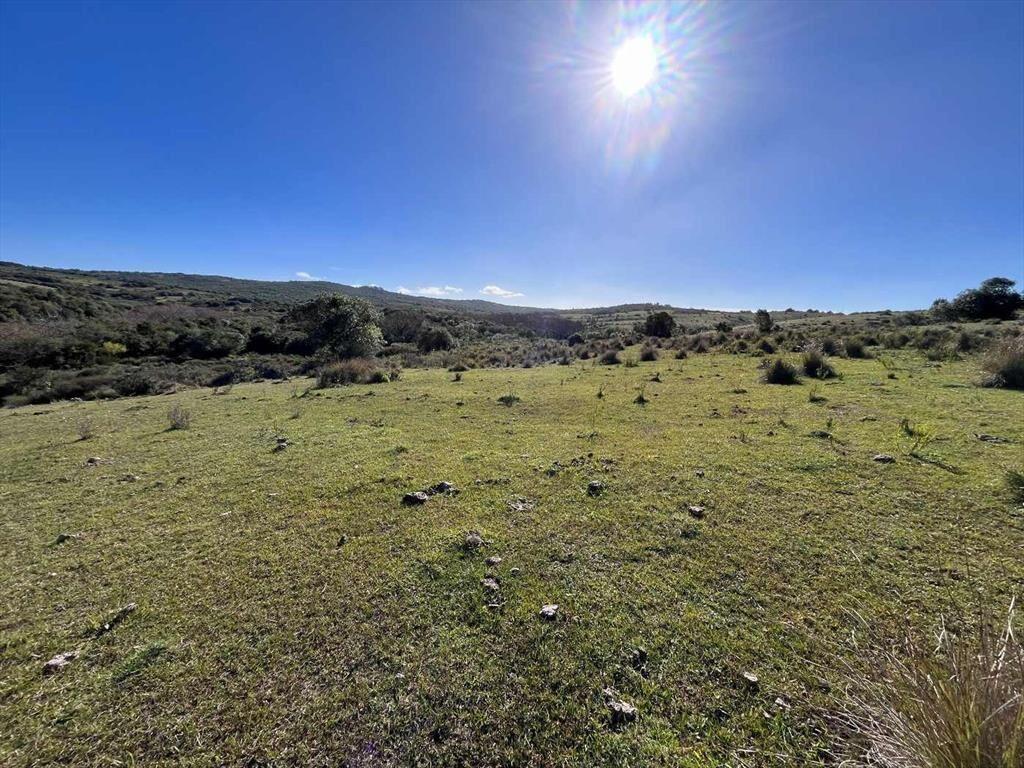 Campo en venta al norte de Garzón - Buen acceso