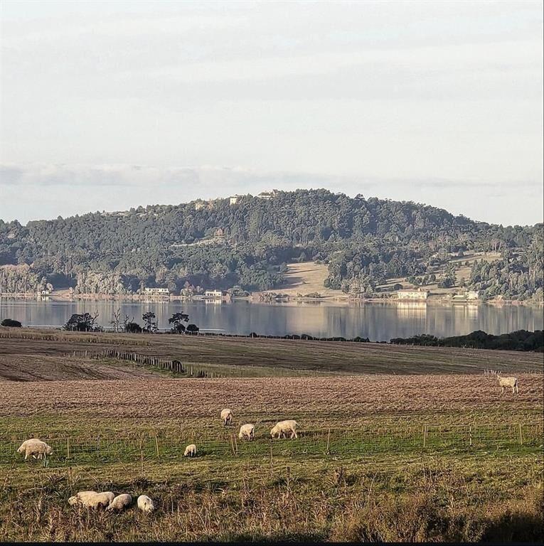 Chacras de 5 hectareas en laguna del sauce