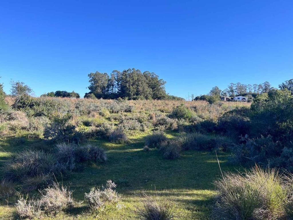 Campo en venta al norte de Garzón - Buen acceso