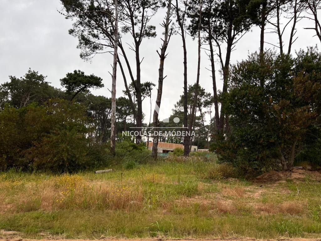 Vende terreno en Reserva Montoya.