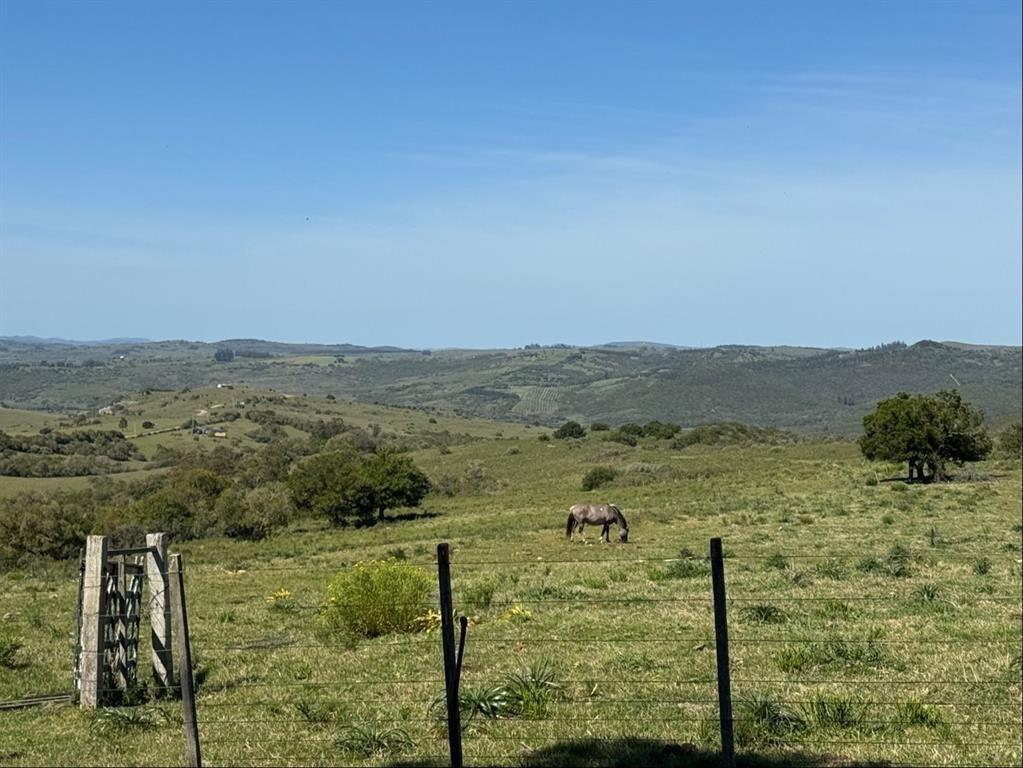 Venta de Campo de Sierra de los Caracoles un paraíso a 20 m