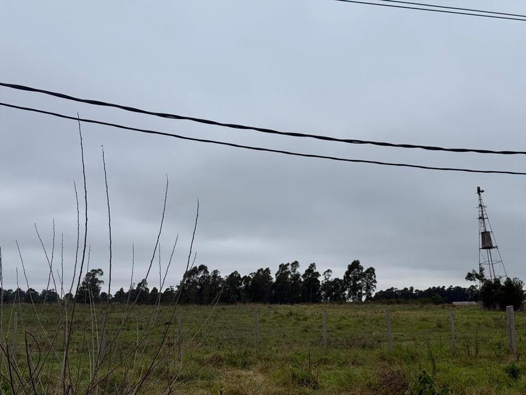 Venta Chacra Camino Gori 36400 metros