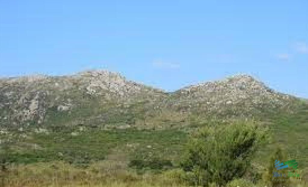 278 Has de Naturaleza Intacta ! A menos de 1 hora