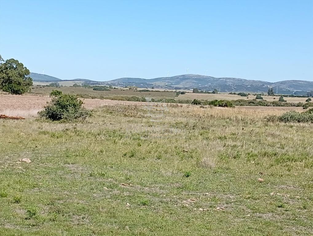 Campo 185 has - Paraje Paso de Dutra