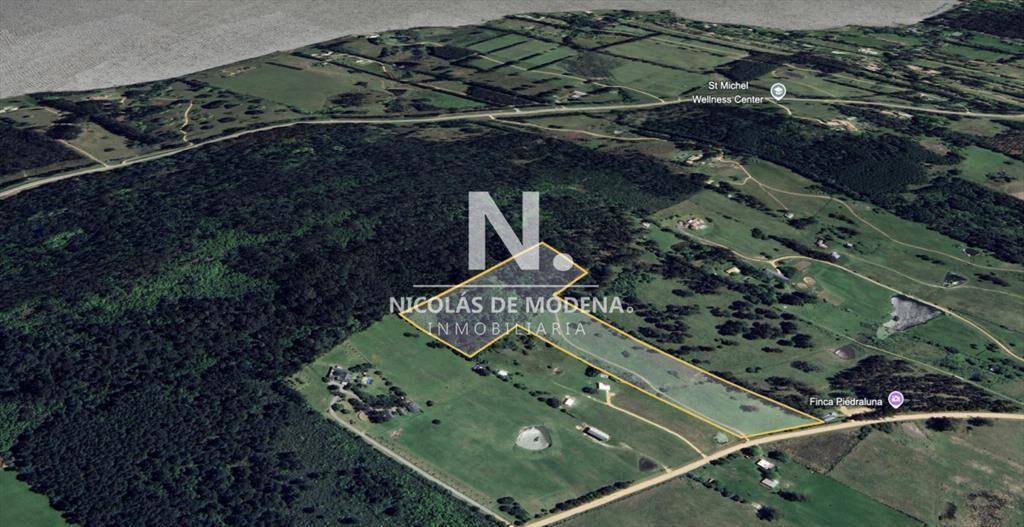 Campo de 5 has con 4658 m2 en La Pataia