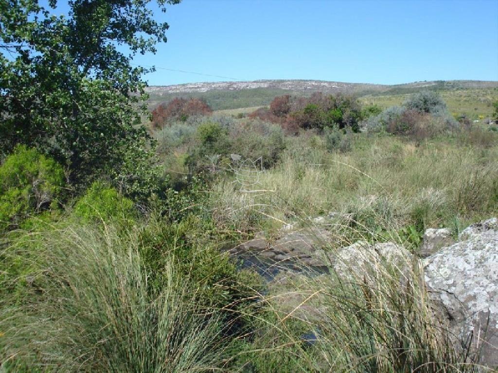 Campo 98 has con 2891 m2 en Carape cuenta con de
